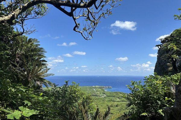 沖縄の海